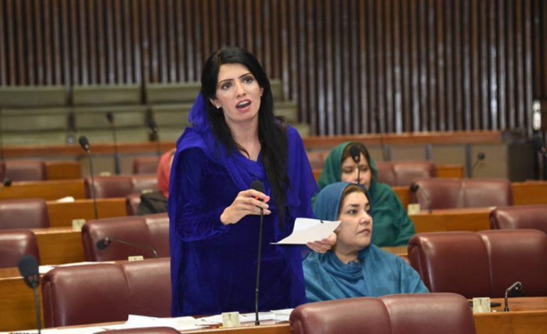 PTI Leader Alia Hamza Granted Bail in Rawalpindi Protest Case