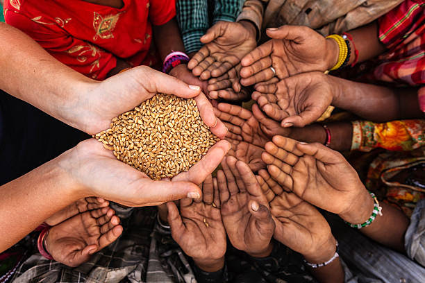 Global Hunger Reaches Record Levels: UN Report Issues Stark Warning