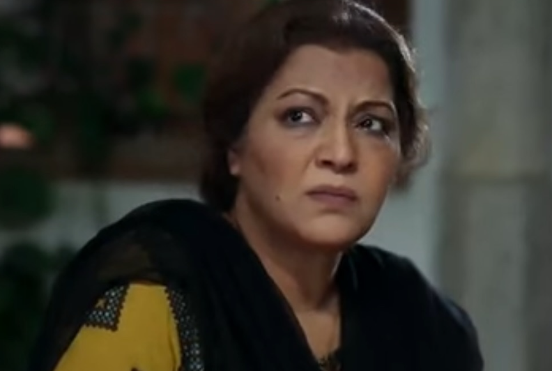 Hina Rizvi Pays Heartfelt Tribute to wife of Abid Ali