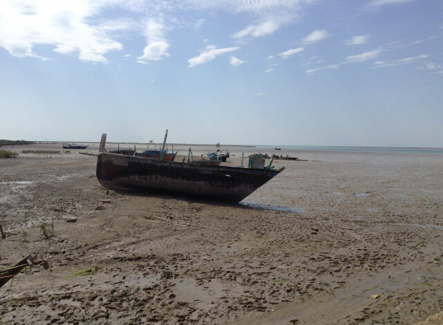 Youth Urged to Lead Climate Action at Four-Day Workshop in Thatta
