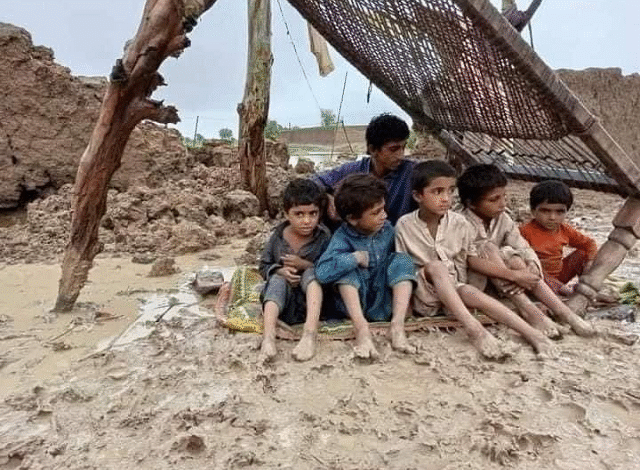 Pre-Monsoon Rains Lash Sindh, Bringing Relief and Chaos