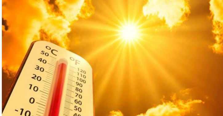 Temperatures 40º:European and British authorities issue health and wildlife warnings