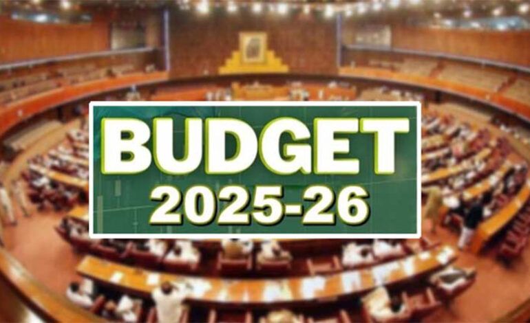 National Assembly passes budget 2025-26, rejecting opposition proposals