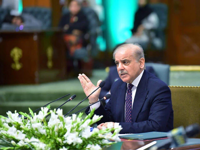 Apna Meter Apna Reading mobile Apps launched: PM Shahbaz