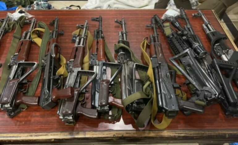 Lahore TikToker Arrested Along with 13 Guards for Illegal Arms Display
