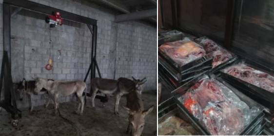 Massive Seizure of Donkey Meat in Islamabad: Chinese National Detained
