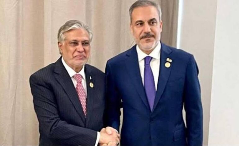 Pakistan, Türkiye Urge Immediate Gaza Ceasefire; Back Two-State Solution at UN Conference