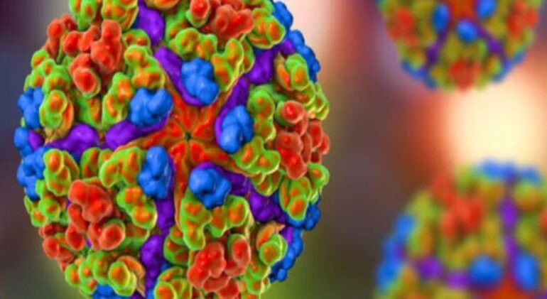 WHO Warns of Risk of New Global Pandemic, Urges Emergency Preparedness