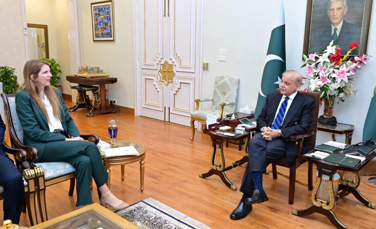 UK High Commissioner Jane Marriott calls on the Prime Minister Shehbaz Sharif