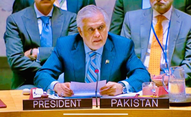FM Ishaq Dar calls for end to starvation crisis in Gaza at UNSC