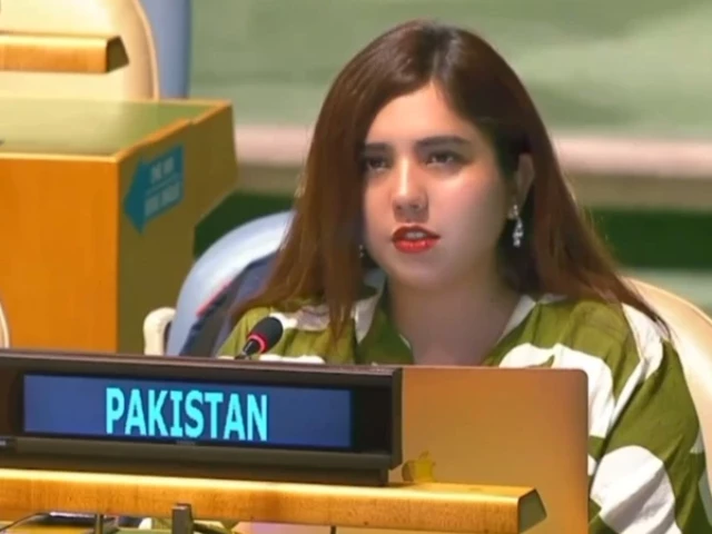 Pakistan Rebukes India at UNGA Over Kashmir, Human Rights Abuses, and Cross-Border Terrorism
