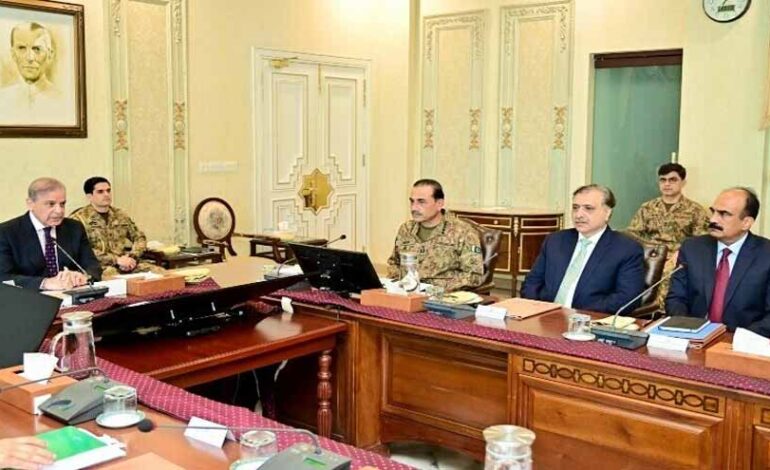 Govt adopts effective strategy to completely eliminate terrorist outfits: PM Shehbaz