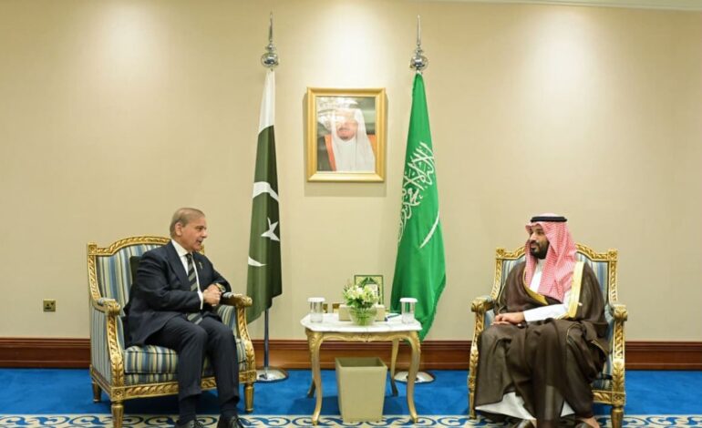 PM Shehbaz urges task force, seeks Israel’s UN suspension at Doha summit