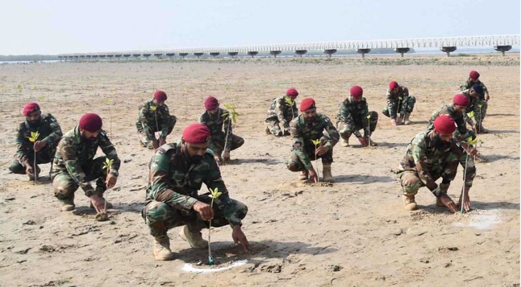 Pakistan launches mangrove plantation drive amid push for environmental restoration