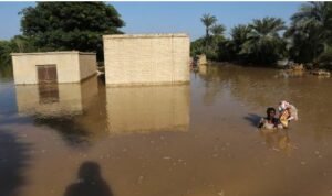 Pakistan floods wipe out 60% of rice crop, threaten cotton, sugarcane harvests &mdash; business union