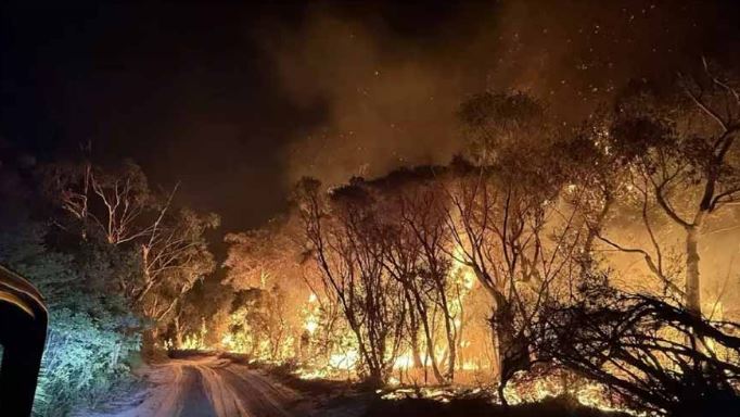New Zealand authorities send extra fire planes to battle 1,100-hectare wildfire