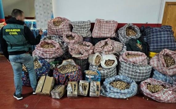 Three Arrested in Spain Over Opium Poppy Mail Trafficking