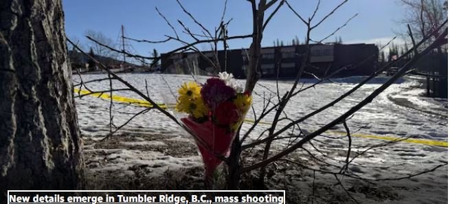 Shooter kills 9 at Canadian school and residence