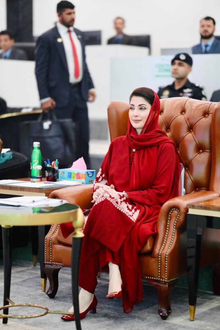 CM Maryam Forms Economic Transformation Committee to Boost Industry in Punjab