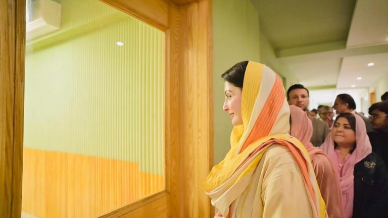 Punjab CM Maryam Nawaz Announces School Closures, 50% Fuel Cut for Officials Amid Energy Crisis