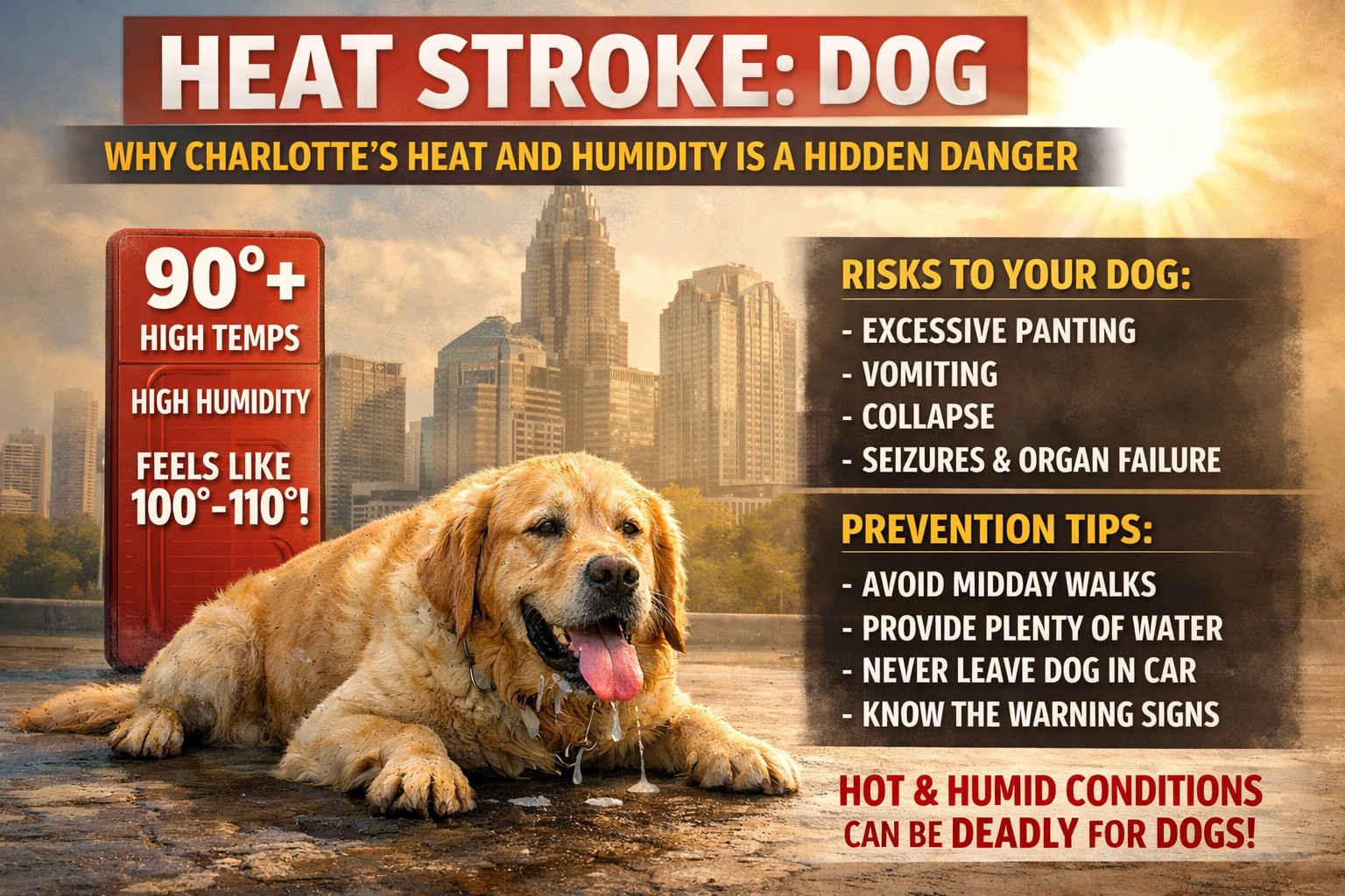 heat-stroke