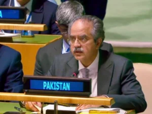 Pakistan tells UN that veto power should be abolished or severely restricted, opposes new permanent members including India, Brazil, Germany, Japan.
