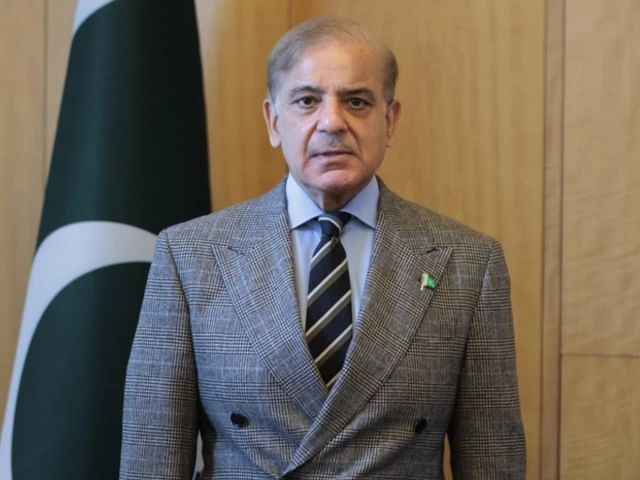 Prime Minister Shehbaz Sharif chairs meeting on petroleum supply chain, ordering crackdown on fuel smuggling and illegal hoarding amid Middle East crisis