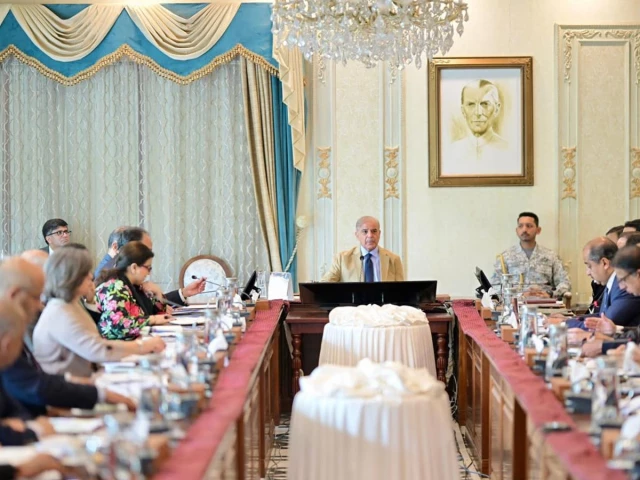 Prime Minister Shehbaz Sharif chairs review meeting on youth employment initiatives, emphasizing international certifications and vocational training for global job market.
