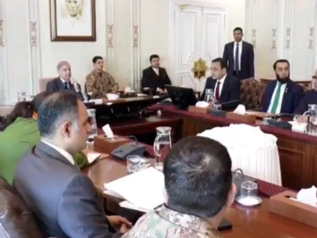 PM Shehbaz Sharif chairs meeting on EV promotion, approves electric bikes on easy instalments for government employees up to Grade 16.