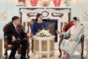 Punjab to Launch Solar Panel Manufacturing in Lahore with Chinese Collaboration