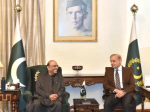 President Zardari Directs Government to Take All Possible Steps to Reduce Inflation Impact on Public