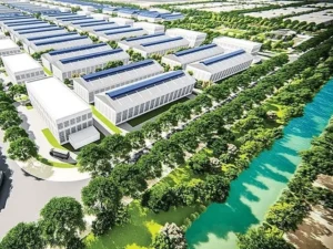 Punjab Orders Green Buffer Zones Around Industries to Fight Pollution