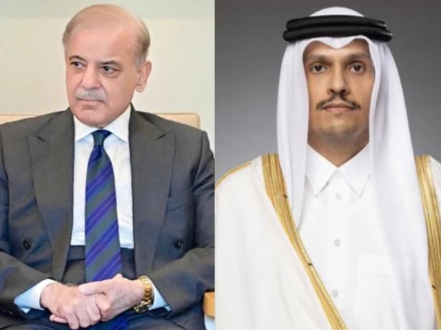 Shehbaz Thanks Qatar for Supporting Peace Efforts