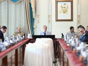 PM Shehbaz Vows to Turn Pakistan Into Economic Power, Cites Nuclear Journey as Example