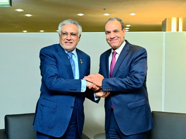 Pakistan Foreign Minister Ishaq Dar and Egyptian Foreign Minister Badr Abdelatty discussing regional developments and diplomatic efforts for peace and stability.