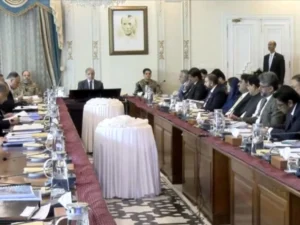 PM Shehbaz Praises Provincial Cooperation, Says Budget Decisions Taken in National Interest