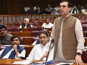 PTI Launches Scathing Attack on Federal Budget, Labels It a ‘Budget of Broken Promises’