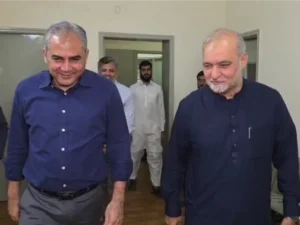 Naqvi, Hafiz Naeem Discuss Political, Economic and Security Challenges